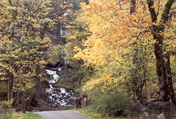Nick and Kay Dodge's Bequest is Helping <i>Gorge Towns to Trails</i>